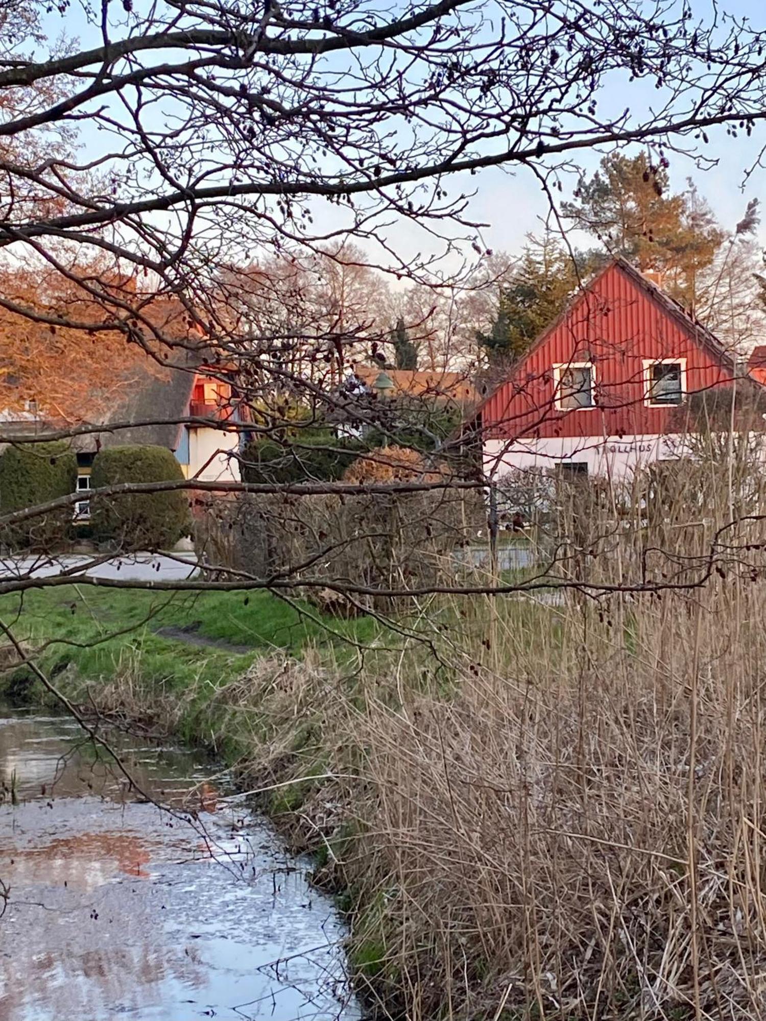 Trollhus - Grosses Familienfreundliches Ferienhaus Born Exterior foto